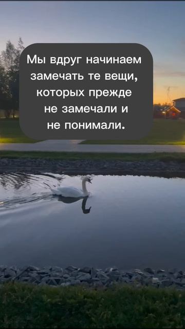 Восприятие мира и себя