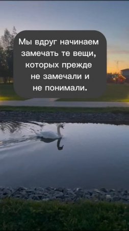 Восприятие мира и себя