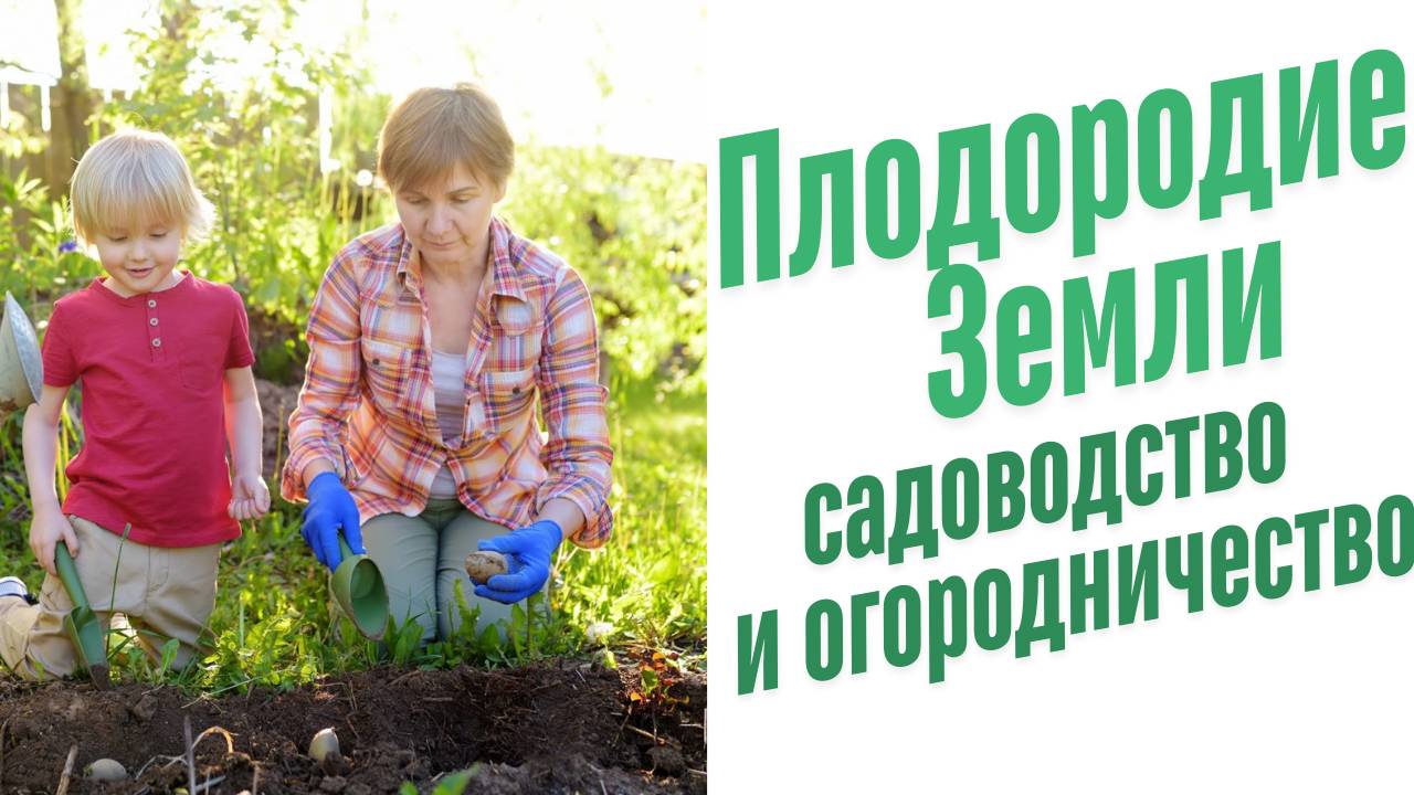 Садоводство и огородничество.
