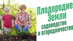 Садоводство и огородничество.