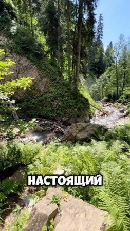 Рядом с сильным мужчиной женщина может чувствовать себя девочкой 🥰