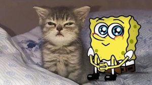 Мультики для детей. Яркие Мультики  . Детские мультики для малышей смотреть