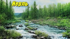 Река Нерль