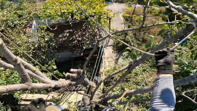 Режем череши в къща - T540i XP  MS194T MS261 550XP DCS-2500T смотреть онлайн