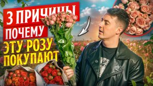 Почему розы с этой плантации называют лучшими | Плантация Porini, Кения | Цветы оптом