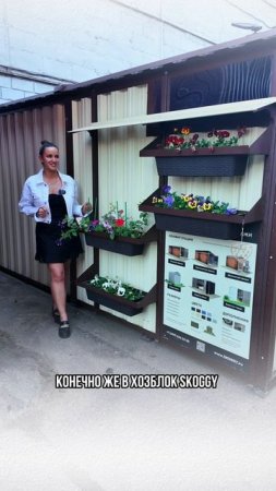 Готовь сани с лета вместе с хозблоками SKOGGY