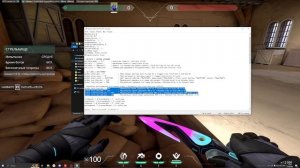 ТРИГГЕР БОТ НА ВАЛОРАНТ