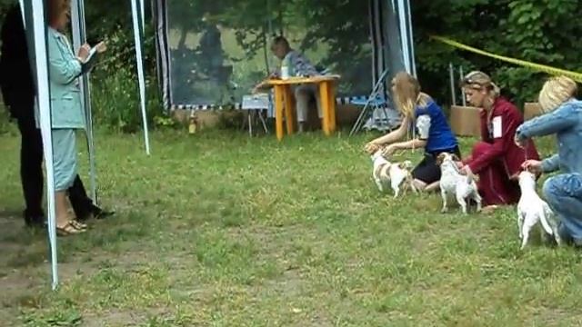 Мотя на выставке в Сергиевом Посаде 10 июля 2011 г. смотреть онлайн