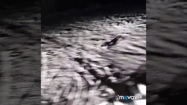 Машинка-Перевертыш на П/У смотреть онлайн