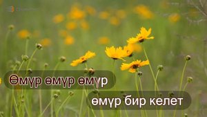 Али Вали - Өмүр бир келет Караоке