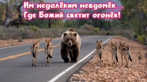 Им недалёким невдомёк… 
Где Божий светит огонёк! Премьера песни!
