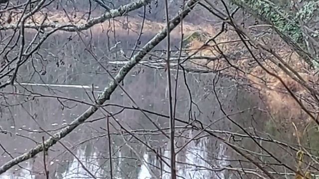 Со спиннингом в декабре. Или второе закрытие летнего с смотреть онлайн