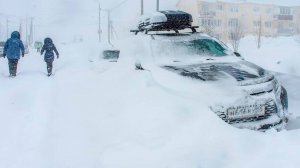 На Новосибирск, Томск, Барнаул и Салехард обрушился снежный буран и заморозки
