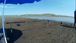 Культурно в тени, за зонтом +35.