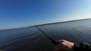 Утренний клёв леща — рыбалка, которая лечит душу