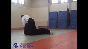 11 Aikido Ai Hanmi Koshinage Shishiya Sensei Sandviken 2002