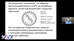 Ароматерапия  в реабилитации. УАПК Часть 1