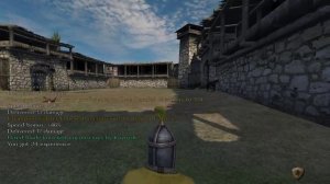 Triple superiority⚔️ #mountandblade #rpg #game #gaming #gamer #gameplay #games