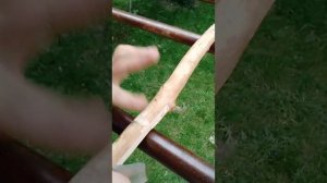 Как быстро затачивать палки часть первая