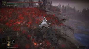 Elden Ring ✨ Крупный могильный ландыш (Тайная могила Харо) 🔥 Материал для усиления