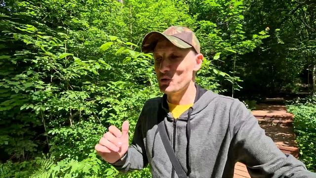 Почему GoPro 12 лучшая экшен камера на сегодняшний день. смотреть онлайн