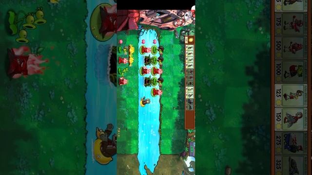 1000008119.mp4 смотреть онлайн