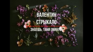 Валентин Стрыкало – Знаешь, Таня (минус)