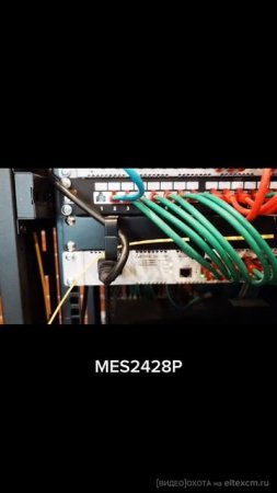Коммутатор доступа PoE MES2428P Eltex. Видео[Охота] на eltexcm.ru