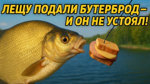 Бутерброд для леща — лучшая наживка?! Проверяем!