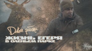 Дикая работа: Жизнь Егеря в Оленьем парке