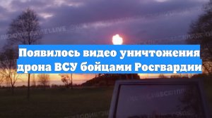 Появилось видео уничтожения дрона ВСУ бойцами Росгвардии