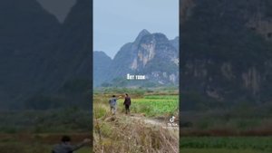 Фильм Отпетые напарники