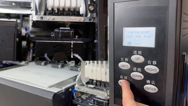 Инструкция: Запуск DTF принтера на примере SANTOS 2*xp600 #кур? смотреть онлайн