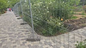 #35.Анапа.Эту красоту надо снимать? Сын вчера приехал.