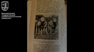 Общероссийский день библиотек 2025