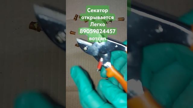 Супер секатор к работе готов#секатор #обрезкагортензи смотреть онлайн
