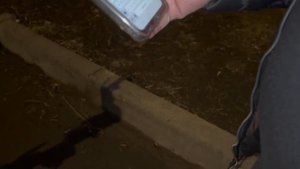 ЯндексПро теперь ДНО? Сколько заработал на замене акк?