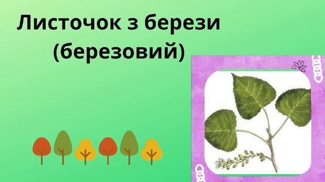 Дидактична гра З якого дерева листочок? вчитель-дефе?