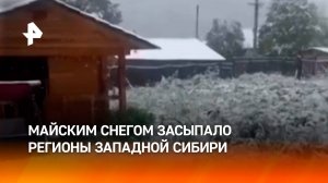 "Летние" снегопады обрушились на Новосибирскую область и Алтайский край