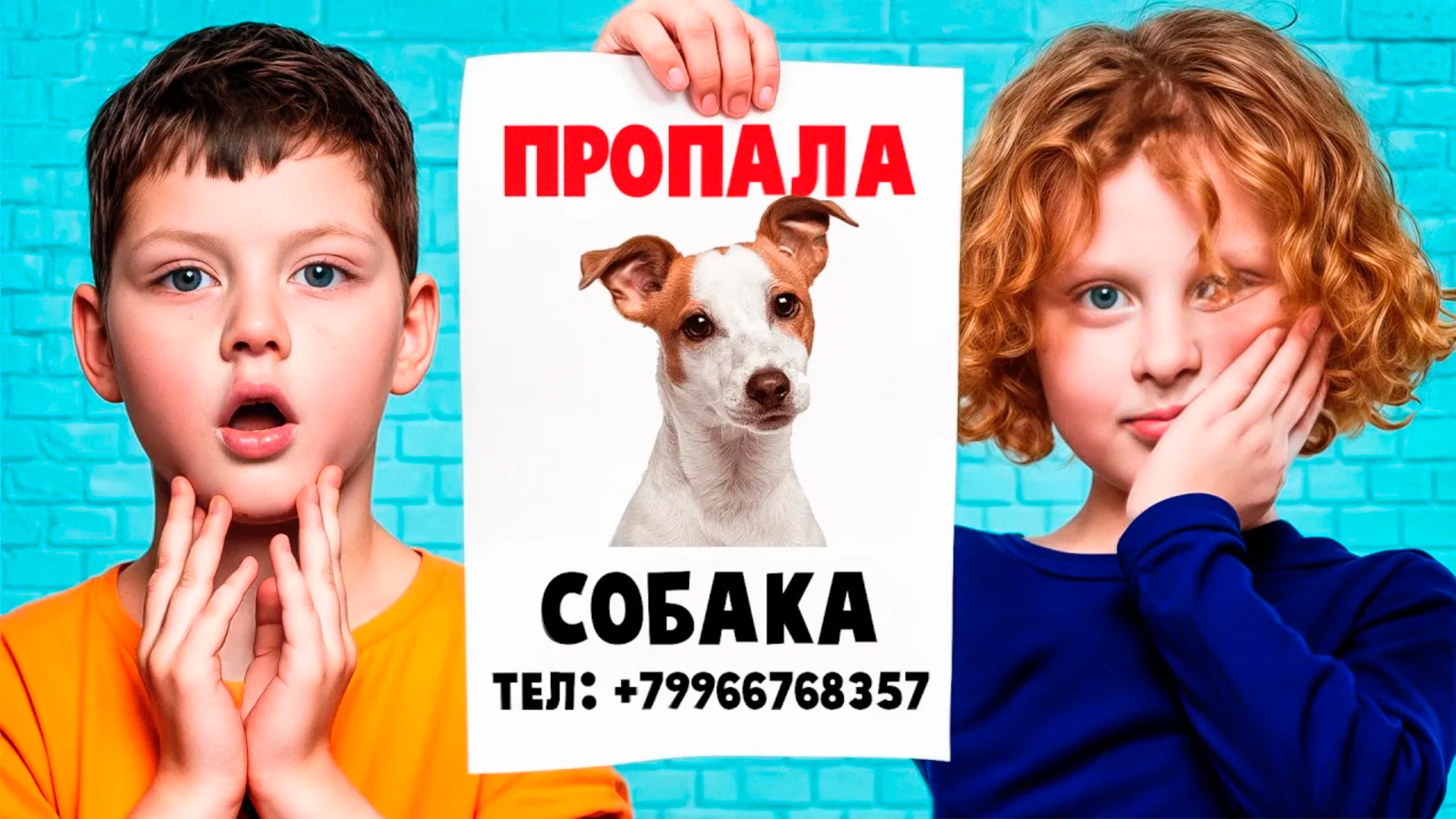 Наша Собака ПРОПАЛА