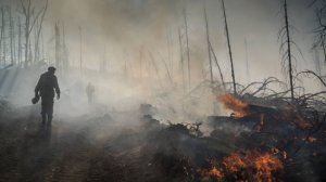 Гарь не дает дышать: в Забайкалье вспыхнули восемь новых лесных пожаров