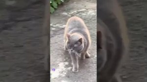 1000040710.mp4