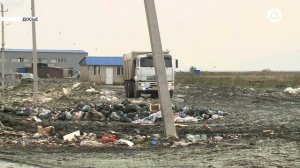 Вред пластика в современном мире