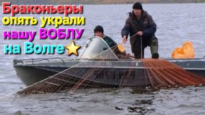 🔥БРАКОНЬЕРЫ опять украли нашу ВОБЛУ🔥 НЕВОД на низовьях Волги!! Астрахань-2025 !!!