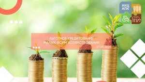 Запись семинара от 27 мая 2025 года