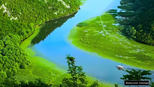 #Коран#Худ#СамыеКрасивыеМеста#Relaxation##Islam#Quran#Hood#Minshawiy 4кВидео#7часть#