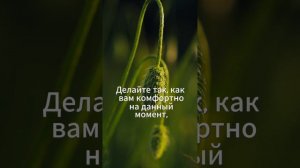 Что поможет пережить темную полосу