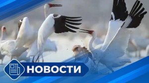 Новости 19.00 от 27.05.25