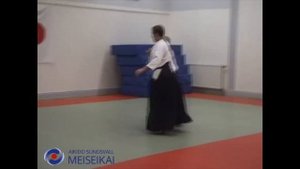 10 Aikido Ai Hanmi Udekimenage Shishiya Sensei Sandviken 2002