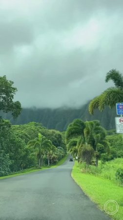 Остров Оаху, Гавайи🌴